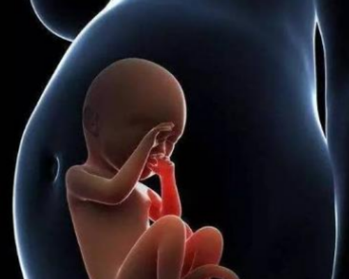 微信香港验血中介,输卵管堵塞想早点怀孕要小孩，想了解下这种情况还能备孕