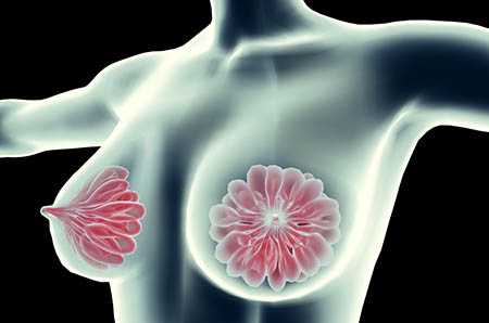 香港验血证明准备吗,经期乳房胀痛是怎么回事？是因为得了乳腺癌？