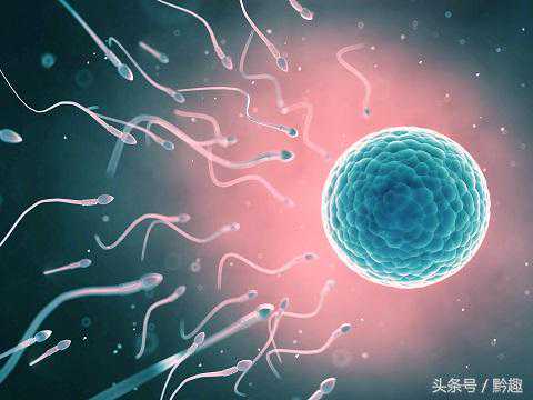 香港验血7周从排卵期算吗,试管短方案促排后卵泡大小不均匀如何补救？