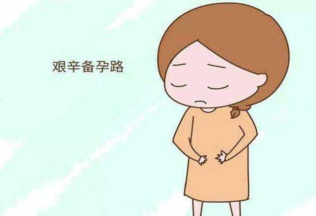香港验血大概费用多少钱,大龄女性的备孕经验分享 生儿子的备孕“王道”