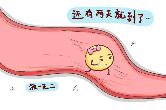 南昌香港验血多少钱,备孕同房后需要清洗吗,什么时候同房怀孕几率大？