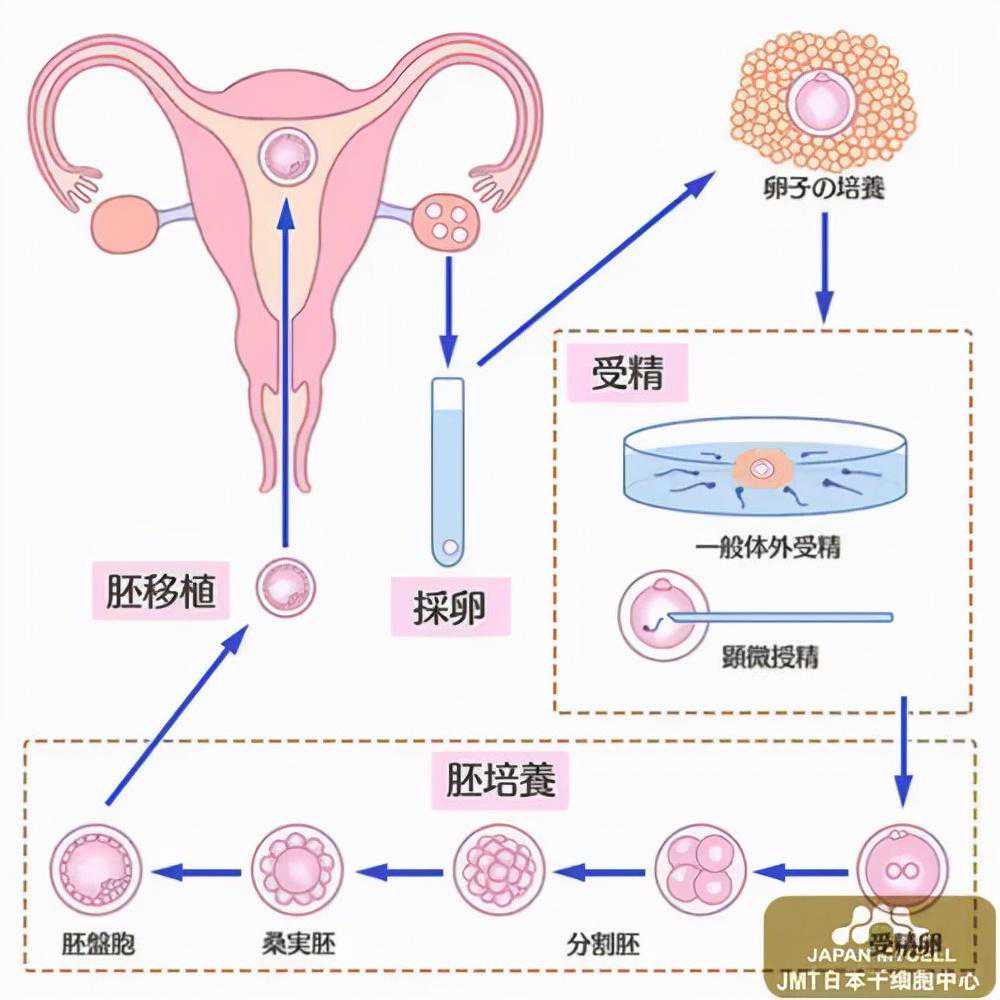 香港仁健医学验血多少钱,杭州正规辅助生殖助孕机构有哪些？省人民医院能做